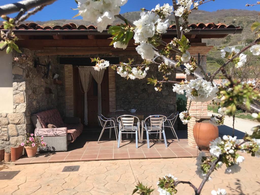 Casa Rural La Picotina Navaconcejo Zewnętrze zdjęcie